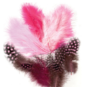 12229-2903 | 8716659089977 | 6x3 stuks | 6x3pcs | veren roze | Rosa federn | Federn rosa | Veren Wijn | Roze veertjes | Veertjes Roze | pink Feathers | Feathers Pink | Veren kopen Carnavals veren kopen | Carnaval federn kaufen | Piet veren | Sinterklaas veren | Pieten veren kopen | Parelhoen en maraboe | Maraboe en parelhoen veren