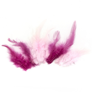 12235-3503 | 8716659090423 | 15 stuks | 15pcs | veren Rose | Rosa federn | Federn Rosa | Veren Roze | Roze veertjes | Veertjes Roze | Pink Feathers | Feathers Pink | Veren kopen Carnavals veren kopen | Carnaval federn kaufen | Piet veren | Sinterklaas veren | Pieten veren kopen