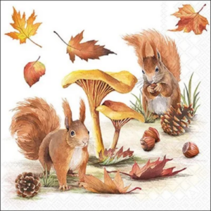 Ambiente | Ambiente servetten | Ambiente herfst servetten | Ambiente Squirrels Go Nuts | Squirrels Go Nuts | Squirrels Go Nuts servetten | herfst servetten | servetten herfst | eekhoorn servetten | eekhoorns servetten | servet met eekhoorn | herfst eekhoorn | eekhoorn herfst | noten servetten | herfstbladeren | paddenstoel servetten | bosdieren servetten | dieren servetten | natuur servetten | bos servetten | herfstbos | herfst dieren | decoupage servetten | servetten voor decoupage | servettentechniek | herfst decoupage | decoupage herfst | papieren servetten | 33x33cm servetten | servetten 33x33cm | 20 servetten | FSC MIX servetten | herfstdecoratie | herfst tafeldecoratie | eekhoorn decoratie | bos decoratie | natuurdecoratie | creatieve servetten | kaarten maken | mixed media | scrapbooking | art journal | autumn napkins | squirrel napkins | squirrels napkins | autumn squirrel | woodland napkins | forest napkins | mushroom napkins | animal napkins | nature napkins | decoupage napkins | paper napkins | autumn decoupage | napkin technique | Herbst Servietten | Eichhörnchen Servietten | Herbst Eichhörnchen | Wald Servietten | Pilz Servietten | Tier Servietten | Natur Servietten | Decoupage Servietten | Serviettentechnik | Papierservietten | Herbstdekoration | 13318820 | 8712159197365 | Ambiente Herfst Servetten Decoupage _ Squirrels Go Nuts 20st 33x33cm